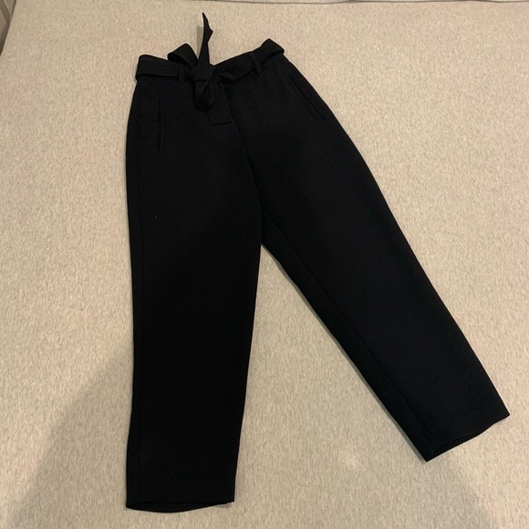 Aritzia tie-front jallade pants - Picture 3 of 6